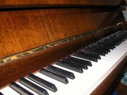 Продам профессиональное фортепианоPETROFв г.Хмельницкий